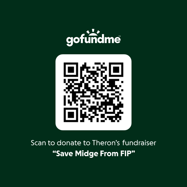 Save Midge GoFundMe QR Code